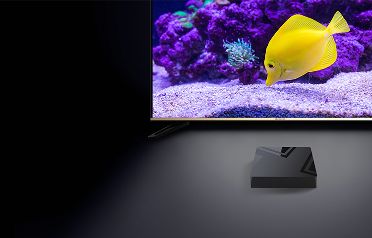Hybrid TV Box