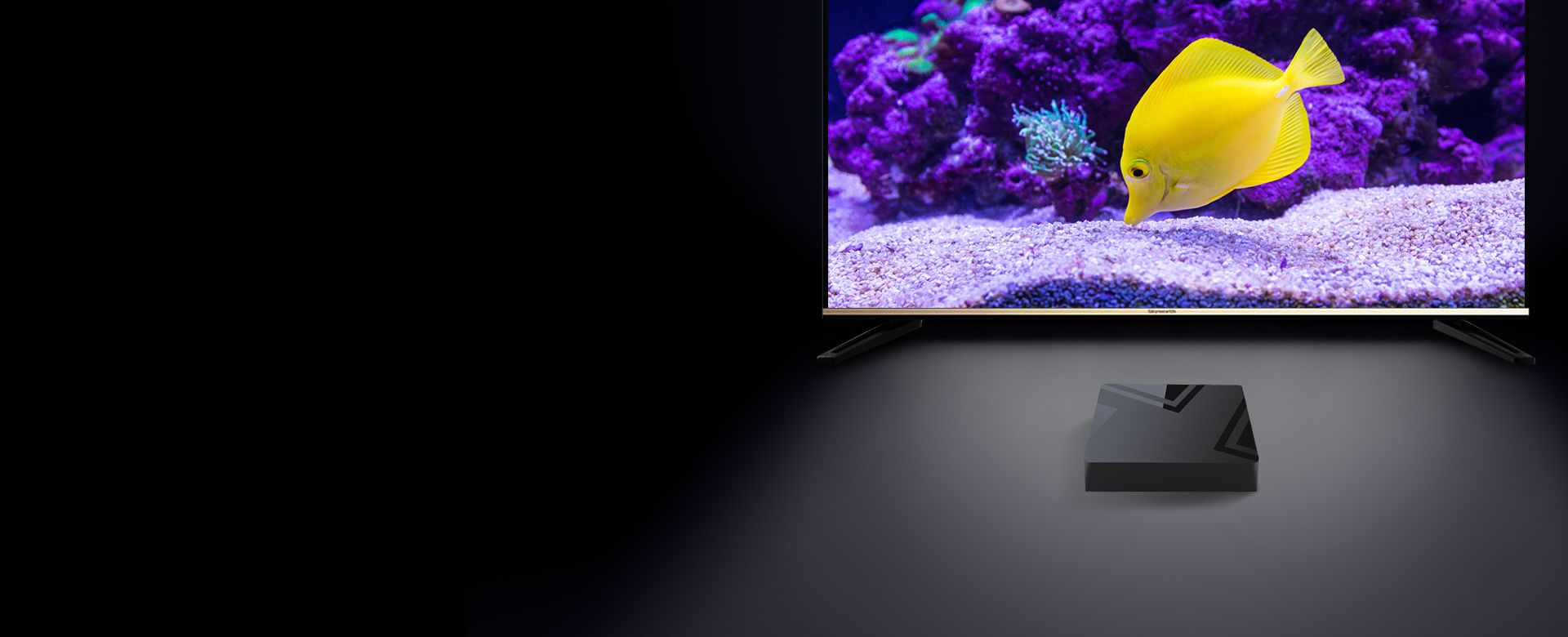 Hybrid TV Box