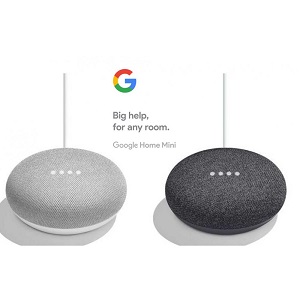 Google home.jpg