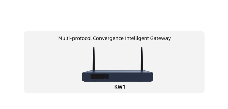 Videostrong Intelligent Gateway Case