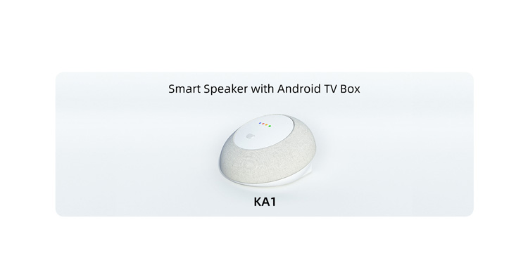 Videostrong Smart Speaker Solution Case