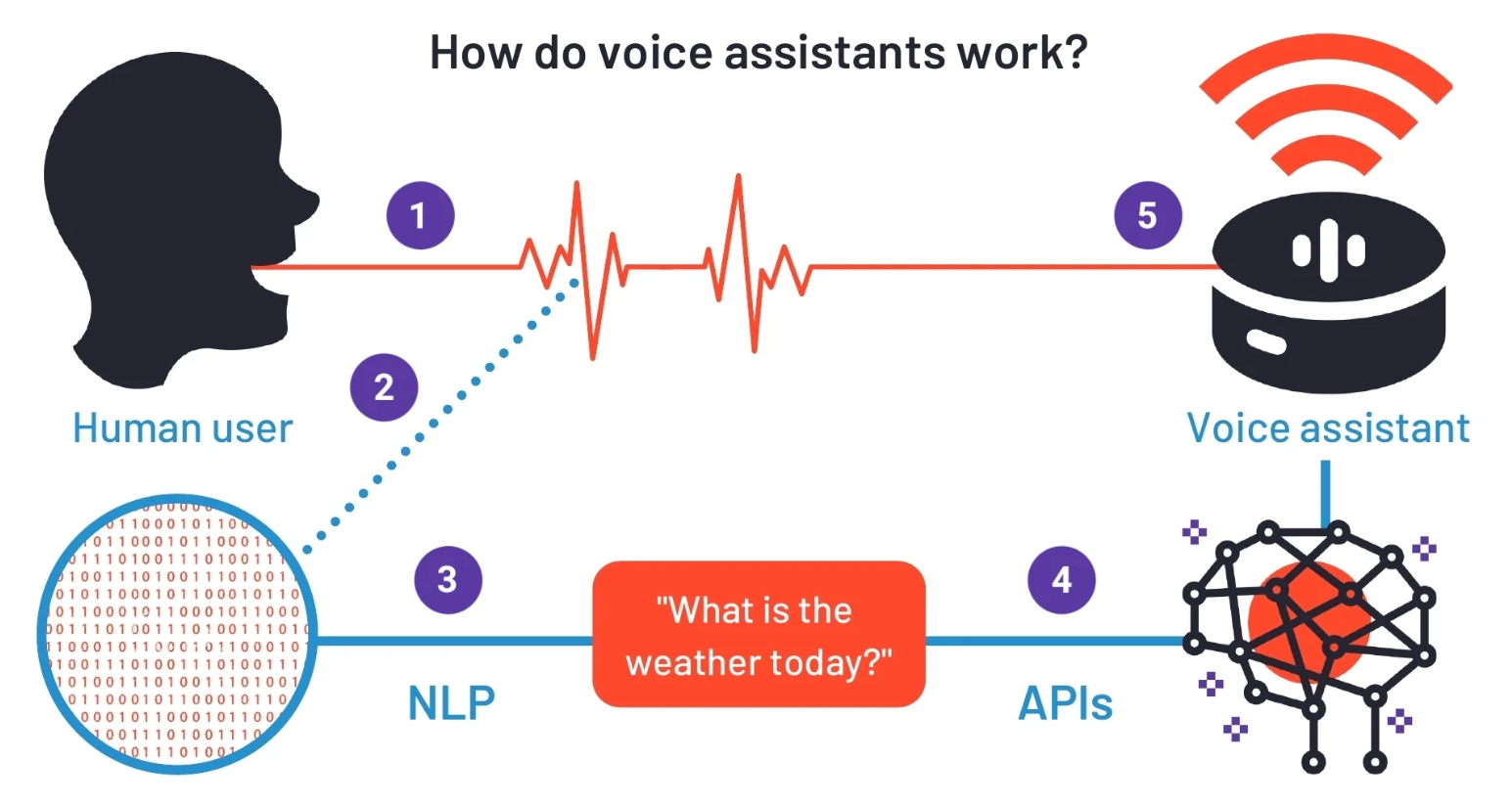 How does Voice Assistant Technology Empowers the Elderly