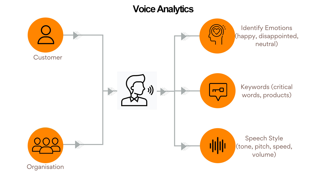 Voice Analytics Works