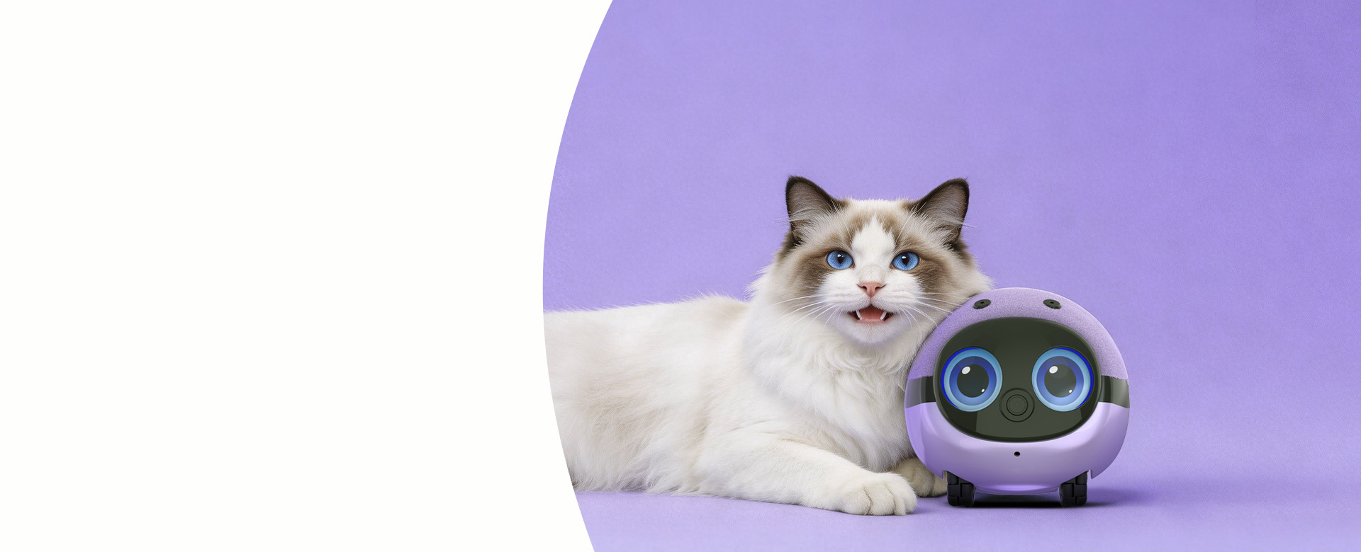 F10 ai pet companion robot