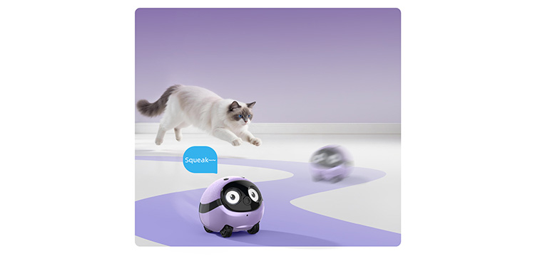 Interactive Playmate