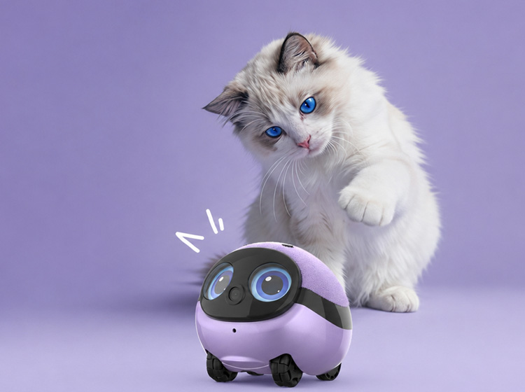 Pet Companion Robot