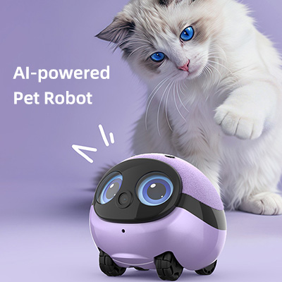 AI Companion Robot