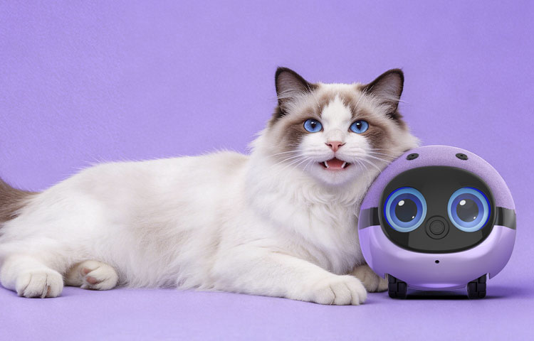 ai pet companion robot