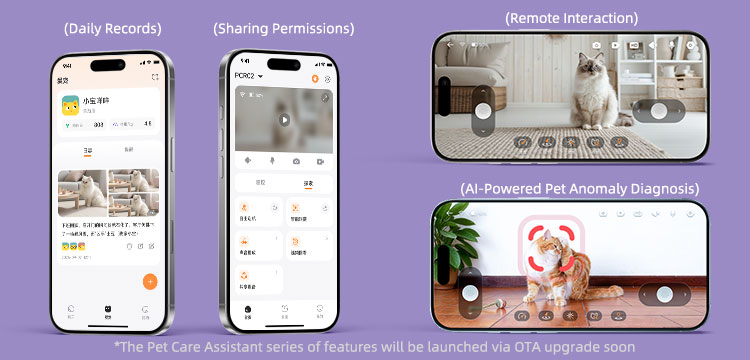 Pet Care Assistant