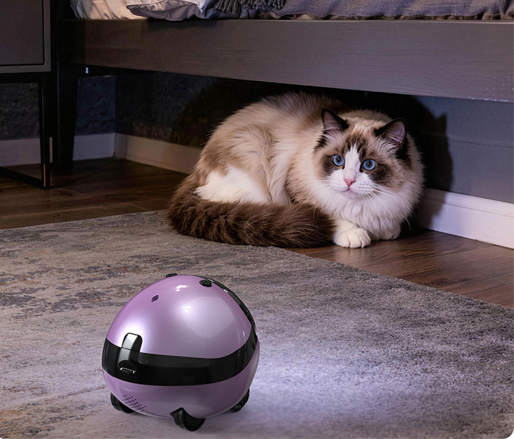 Remote Pet Care & Monitoring