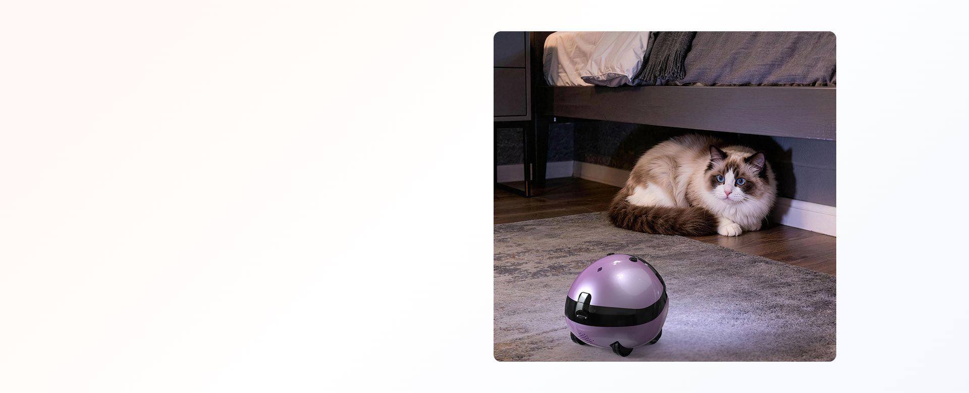 Remote Pet Care & Monitoring