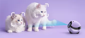 宠物识别